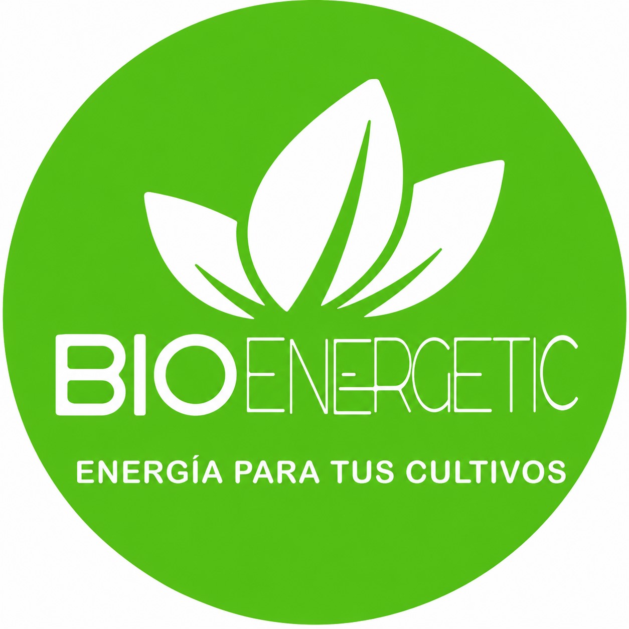 Logo 9